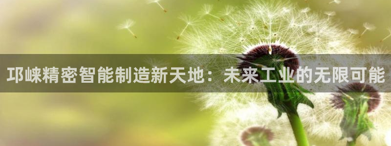 彩神大发cp：邛崃精密智能制造新天地：未来工业的无限可能