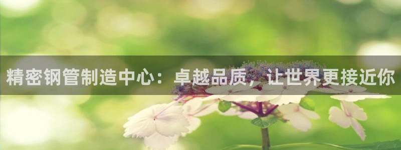 大发彩神官网下载：精密钢管制造中心：卓越品质，让世界更接近你