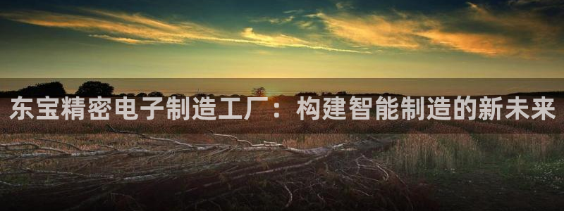 彩神8购彩-购彩大厅：东宝精密电子制造工厂：构建智能制造的新未来