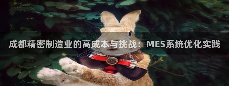 彩神v1破解器：成都精密制造业的高成本与挑战：MES系统优化实践