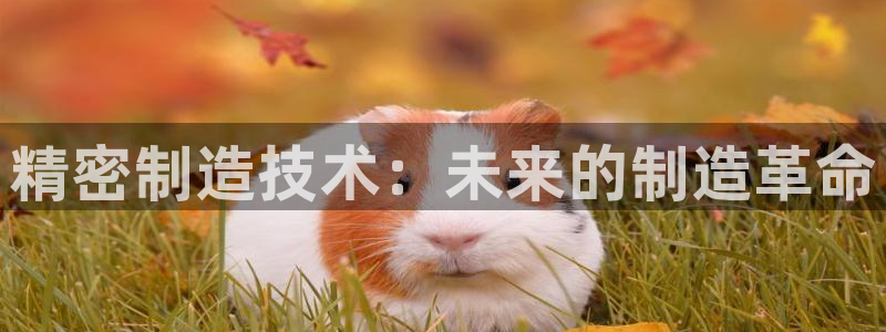 彩神app能挣到钱吗