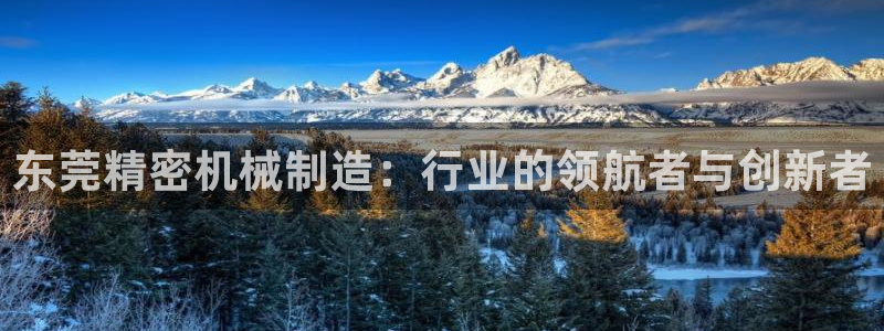 彩神V8平台：东莞精