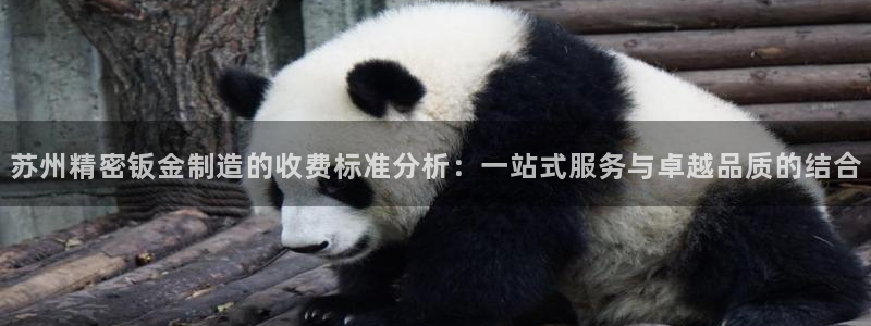 大发彩神争：苏州精密